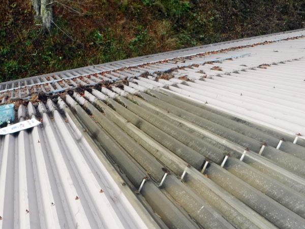 採光取り屋根交換工事（施工前）